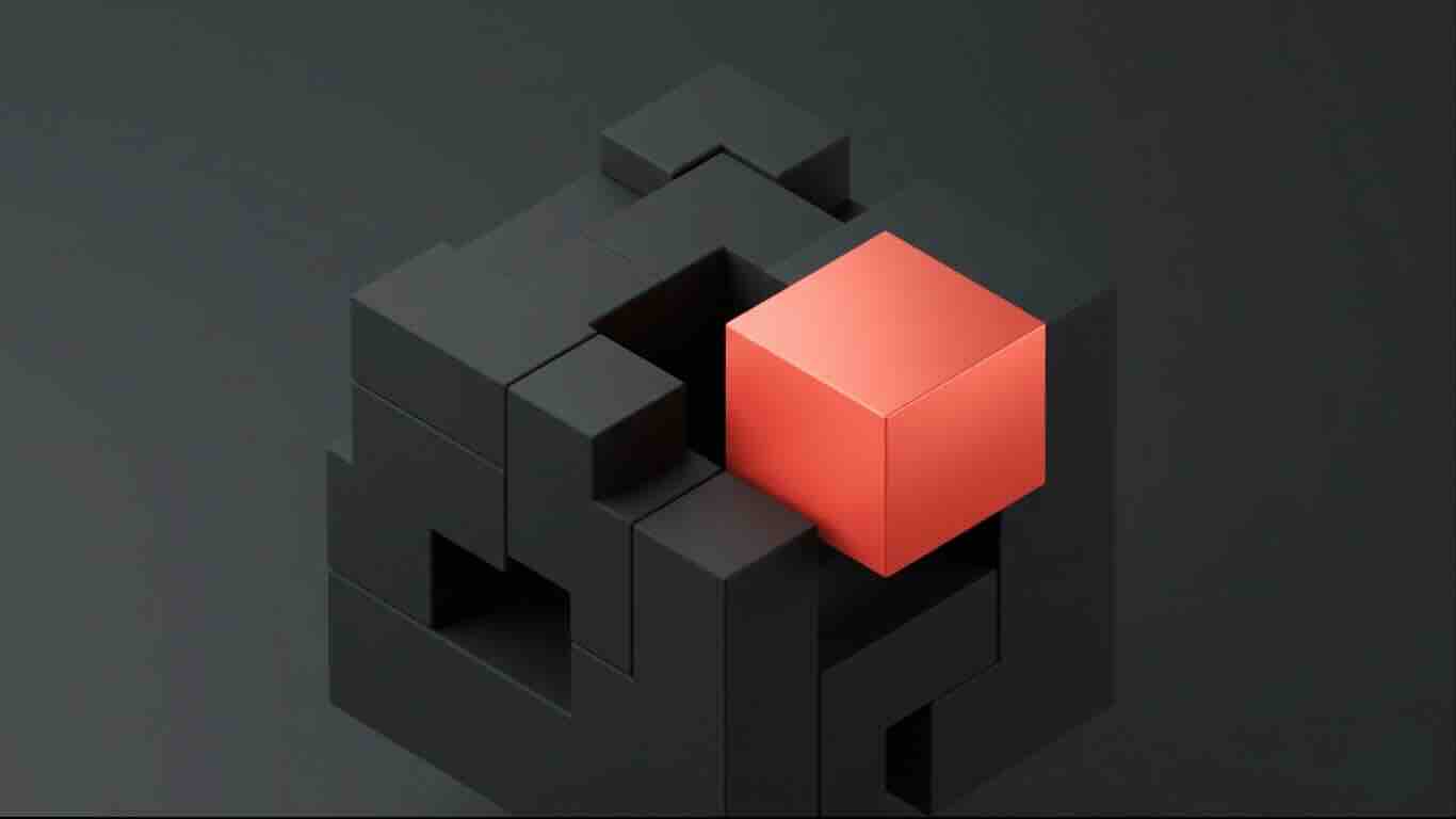 Fractional CPO ROI Playbook for SaaS Founders | Sally Abas